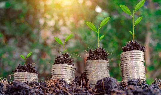 «Σφραγίδα» για την διατροφική κυριαρχία της Γαλλίας η στροφή στα «οικολογικά λιπάσματα»