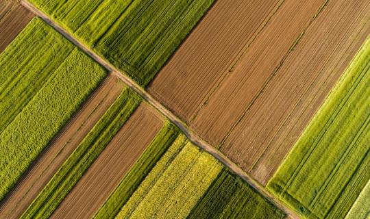 Τρ. Πειραιώς: Υποχώρησε σημαντικά ο δείκτης αγροτικών προϊόντων - Απώλειες για σιτάρι, βαμβάκι και καλαμπόκι