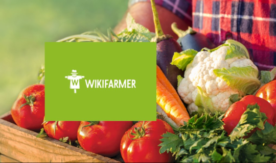 Wikifarmer: Το ελληνικό όραμα και οι ευκαιρίες ανάπτυξης της παγκόσμιας αγοράς γεωργίας