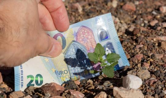 ΕΤΕπ: Πακέτο 3 δισ. ευρώ για αγρότες και βιοοικονομία - Πώς θα δοθούν τα δάνεια
