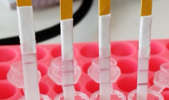 «Rapid test» στα ψάρια χρηματοδοτεί η Κομισιόν για να μην ξεγελούν τους καταναλωτές