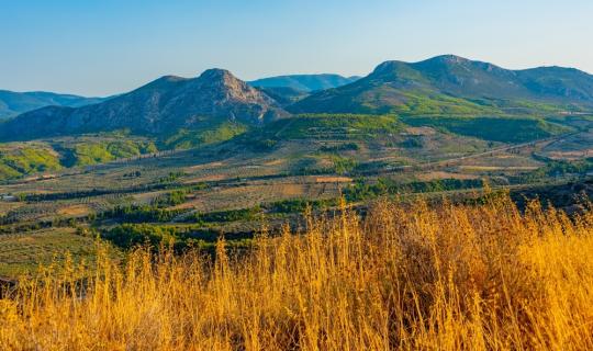 Κλιματική αβεβαιότητα και ΕΛΓΑ: Όταν ο παγετός του Απριλίου «παγώνει» την οικονομία της υπαίθρου