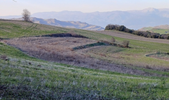 Έξι εκατ. στρέμματα εγκαταλελειμμένης γης στην Ελλάδα - Ποιος θα τα πάρει, η ενέργεια ή η παραγωγή τροφίμων;