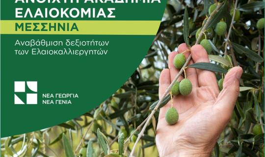 Νέα Γεωργία Νέα Γενιά: «Ακαδημία Ελαιοκομίας» στην Μεσσηνία