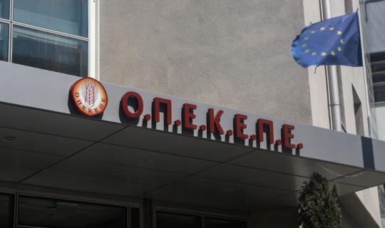 Παραιτήθηκε ο Ιωάννης Καϊμακάμης από τη θέση αντιπροέδρου ΟΠΕΚΕΠΕ