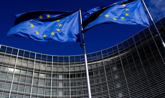 Τι αναφέρει η Κομισιόν για το κρούσμα αφθώδους πυρετού στη Λέσβο