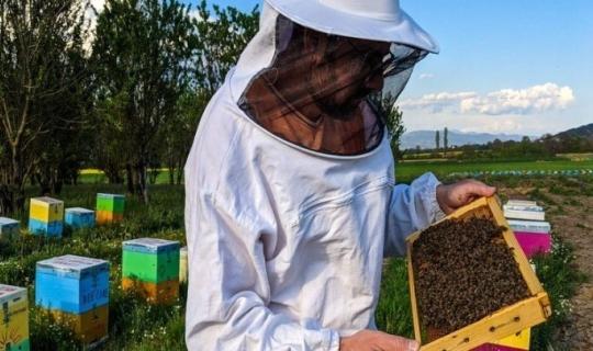 Το μέλλον της ελληνικής μελισσοκομίας στην εποχή της κλιματικής κρίσης
