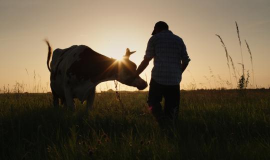 Σχέδιο Επιβίωσης - 9 προτάσεις για την επόμενη μέρα του Πρωτογενούς τομέα