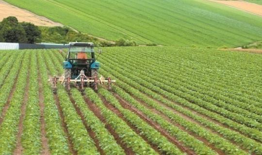 Ο Έλληνας αγρότης στη «μέγγενη» της δεκαετίας