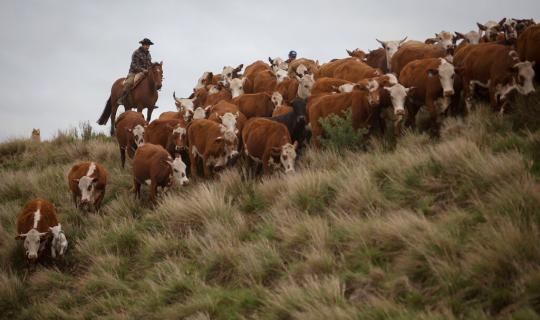 MERCOSUR: Γιατί δεν... έχουμε να φοβόμαστε τη συμφωνία