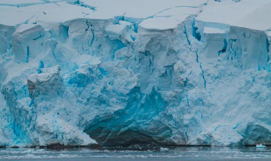 Στην Ανταρκτική η γρίπη των πτηνών - Αποδεκατίζει πληθυσμούς σπάνιων πληθυσμών, ακόμη και θηλαστικών