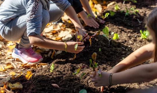Carbon Farming Schools 2025: ΔΕΗ και Open Farm προωθούν τη βιώσιμη γεωργία στους μαθητές