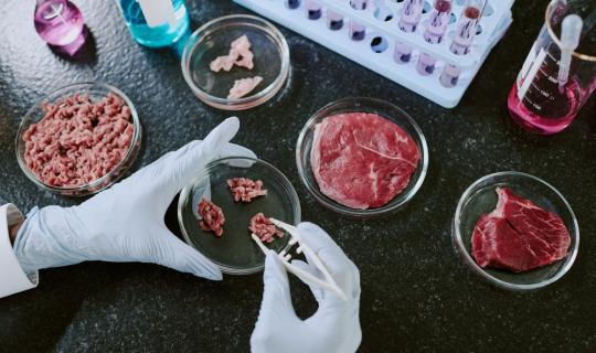 Ο «πόλεμος της μπριζόλας»: Το κρέας εργαστηρίου στα δικαστήρια;