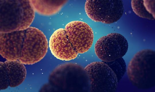 Τι πρέπει να γνωρίζουμε για τη μηνιγγίτιδα - Οι ειδικοί συμβουλεύουν