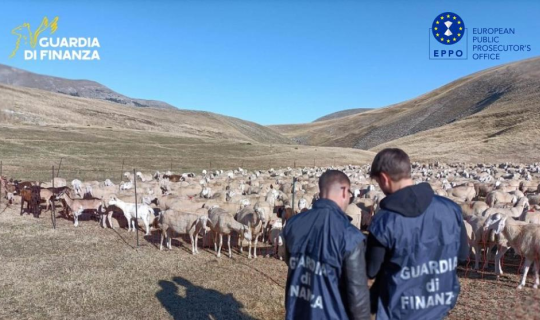 Τι γυρεύει η κα Κοβέσι στον Ευρωπαϊκό Νότο;