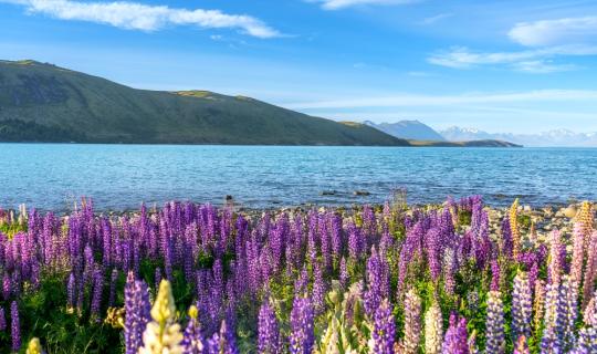 Τα 10 πιο πολύχρωμα μέρη στον κόσμο που πρέπει να επισκεφτεί κάθε λάτρης των λουλουδιών