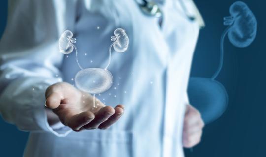 Η Ελλάδα πρωτοστατεί στην ενημέρωση για τις ουρολογικές παθήσεις στην Ευρώπη - Έρχονται δράσεις σε σχολεία, Δήμους