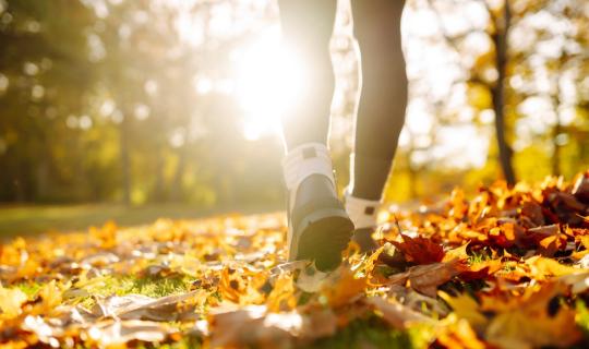 Σε πόσες εβδομάδες το περπάτημα βελτιώνει την υγεία της καρδιάς;