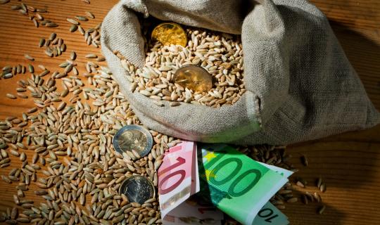 Κρατικές ενισχύσεις (de minimis) ύψους 24,6 εκατ. ευρώ για ρυζοπαραγωγούς