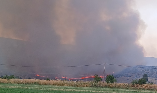 Μελετώντας από κοντά την πρώτη μεγάλη φωτιά της χρονιάς: Επικίνδυνη πια η εγκατάλειψη της υπαίθρου!