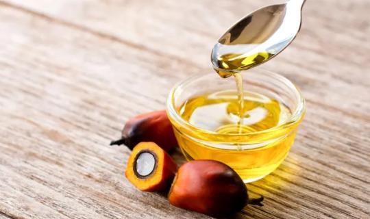 Σε υψηλό άνω του 1,5 έτους το φοινικέλαιο λόγω βιοκαυσίμων και Ελ Νίνιο