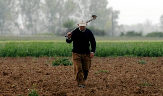 Κοινή Αγροτική Πολιτική: Περισσότερα από 13,5 δισ. στη επόμενη πενταετία και όμως δεν ενημερώνει κανείς τους αγρότες μας!