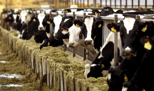 ΥΠΑΑΤ: Ακατάσχετες ενισχύσεις για ζωοτροφές και φερτά υλικά για Daniel