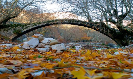 Οι εμπειρίες που αξίζει να ζήσετε στην Ευρυτανία