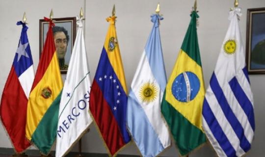 Αντιδρά ο κλάδος επιτραπέζιων ελιών για τη συμφωνία ΕΕ - Mercosur