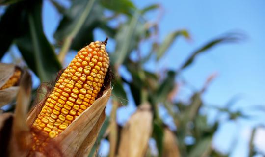 Ο αποκλεισμός ιταλικών λιμανιών από αγρότες είναι προεκλογική φιέστα ή πραγματικό αίτημα;