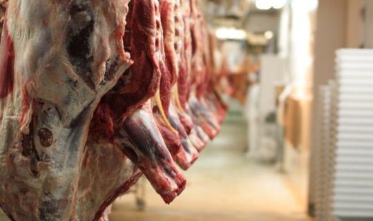 1 εκατ. αρνιά εισάγει η Αλγερία για μεγάλη θρησκευτική εορτή αρχές Ιουνίου! Εμείς θα εξάγουμε;