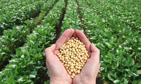 Ανακοινώσεις στις 15:00 για τη μεταρρύθμιση στις αγροτικές επιδοτήσεις