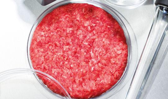 Τι είναι το κρέας που «καλλιεργείται» στο εργαστήριο και γιατί το απαγορεύει η Ιταλία;