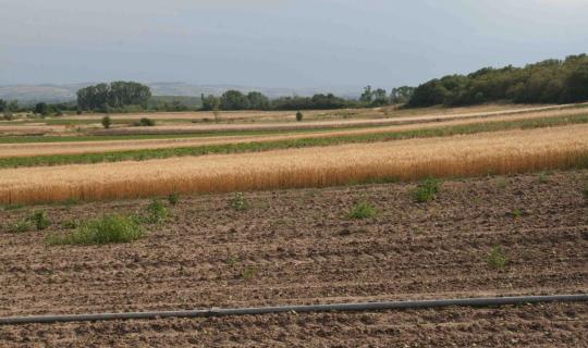 Επανέναρξη της πλατφόρμας myBusinessSupport για διορθώσεις ΑΤΑΚ ή ΚΑΕΚ σε αγροτεμάχια έως 20 στρέμματα