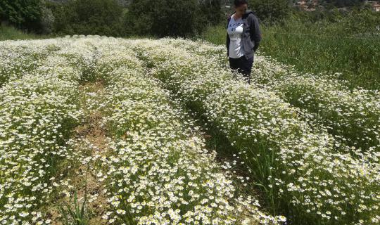 Προγράμματα Αγροτικής Ανάπτυξης - Σε αναμονή και σε εξέλιξη...