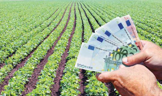Καταβολή 18,7 εκατ. ευρώ από τον ΕΛΓΑ σε 8.648 παραγωγούς για ζημιές του 2025