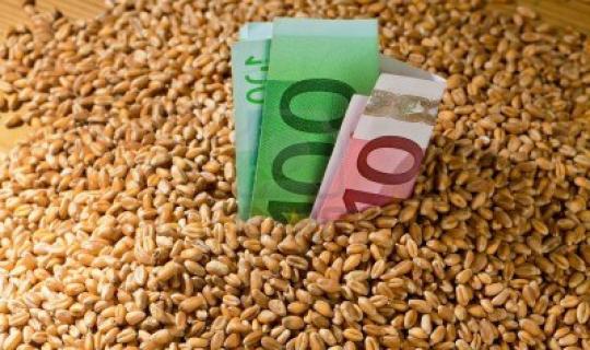 Νέα Κοινή Αγροτική Πολιτική: Πώς αλλάζει το «τοπίο» πληρωμών