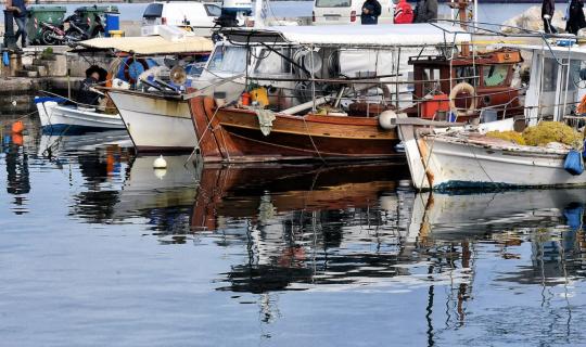 ΥΠΑΑΤ: Καταβολή 15,91 εκατ. ευρώ στους παράκτιους αλιείς