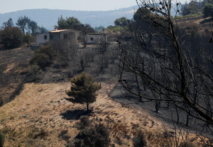 Πυρκαγιά στο Σχίνο Κορινθίας