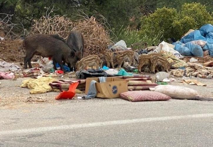 Κράμερ εναντίον Κράμερ στη ΝΔ με Όλγα, Μαριέττα, Τσιάρα