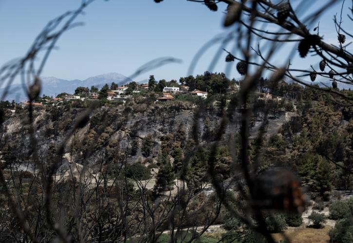 Σε ύφεση η πυρκαγιά στην Κορινθία - Σε επιφυλακή οι πυροσβεστικές δυνάμεις