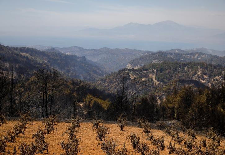 Πυρκαγιά στην Κορινθία: Κάηκαν πάνω από 70.000 στρέμματα