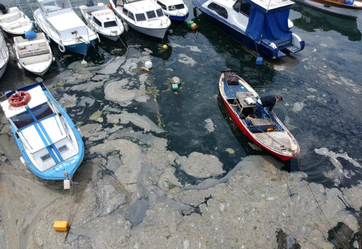 Ο Τούρκος Υπουργός Περιβάλλοντος δεσμεύτηκε να αντιμετωπίσει τη "θαλάσσια βλέννα" στον Μαρμαρά