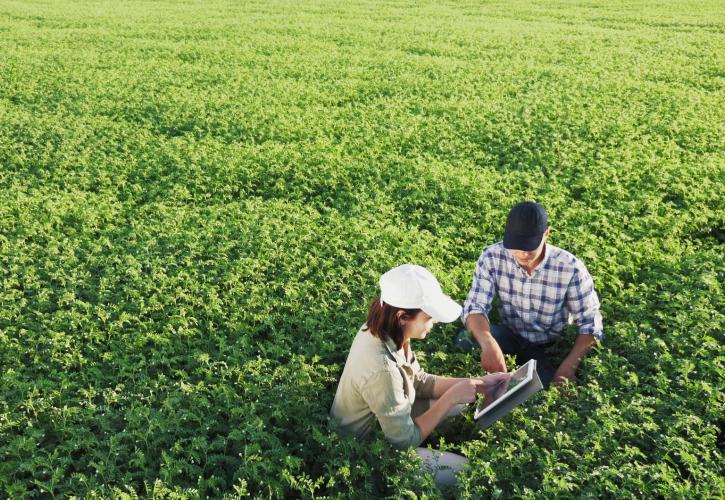 10 ηλεκτρονικές υπηρεσίες για αγρότες από τον e-ΕΦΚΑ