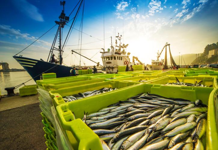 Γαλλία: Απειλεί με αντίμετρα μετά το βρετανικό «stop» στην έκδοση αδειών για γαλλικά αλιευτικά 