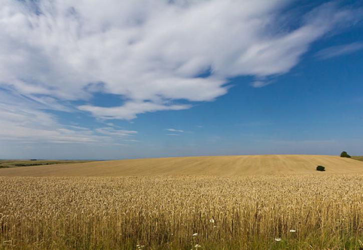Νέα εποχή για την αγροτική ανάπτυξη στην Ουκρανία