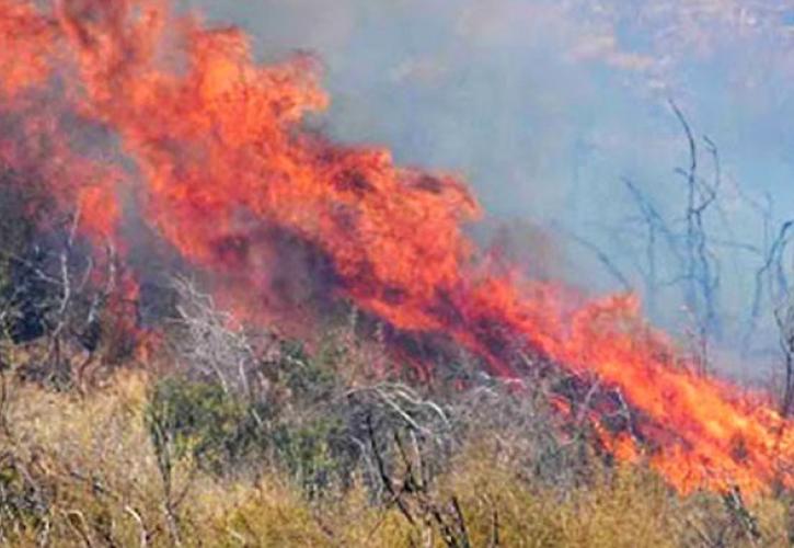 Σε πλήρη εξέλιξη πυρκαγιά στο Δίλοφο Φαρσάλων