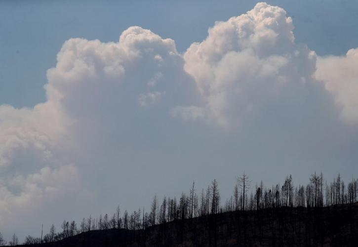 Πολύ υψηλός κίνδυνος πυρκαγιάς αύριο για 5 περιφέρειες της χώρας