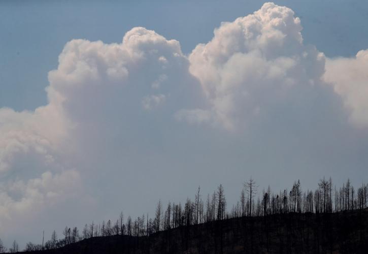 Πολύ υψηλός κίνδυνος πυρκαγιάς αύριο για 5 περιφέρειες της χώρας