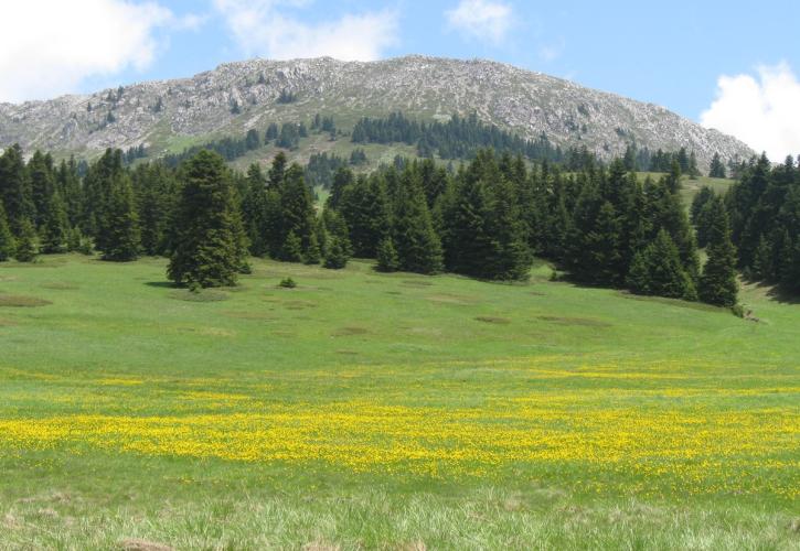 Υπάτη: Φύση, μάγισσες, άστρα... και δεκάδες άλλοι λόγοι να την επισκεφτεί κανείς